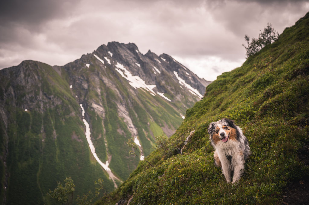 Urkeegga day hike 12