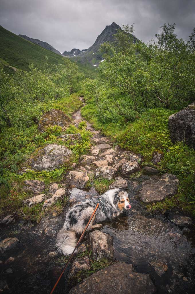 Urkeegga day hike 33