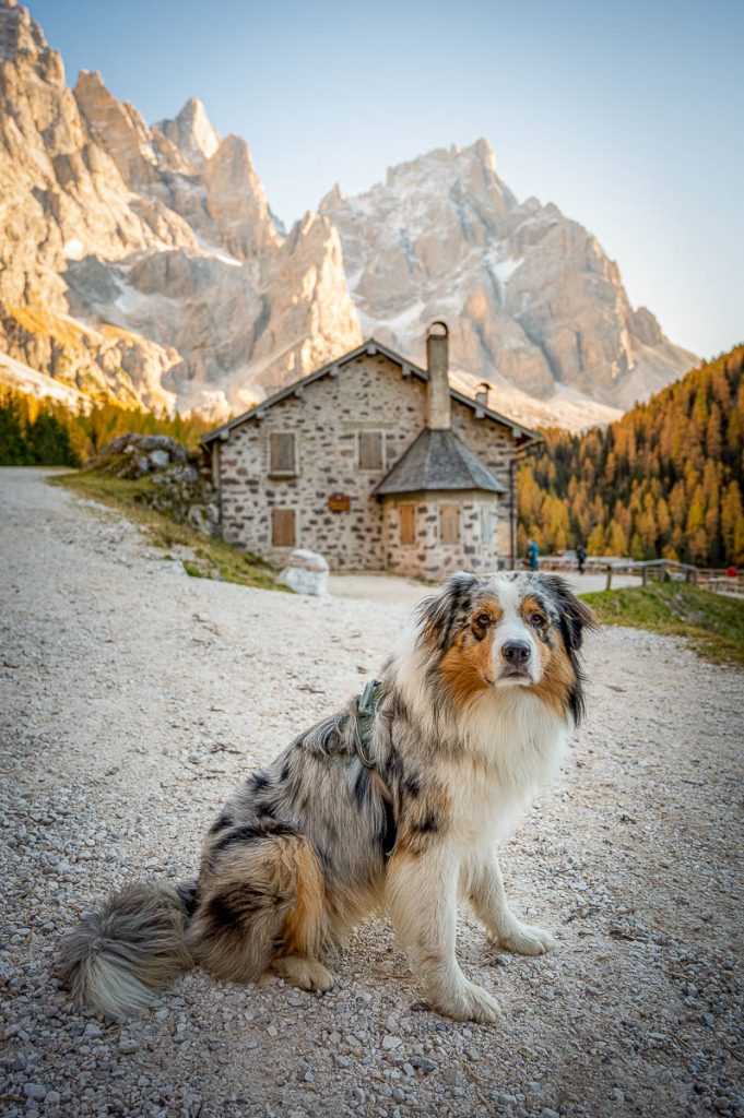 The Perfect 7-10 Day Hiking Road Trip Itinerary Across The Italian Dolomites For Autumn Lovers 24 Val Venegia 1 2