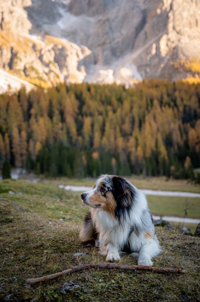 A Stroll Through Val Venegia - The Stunning Dolomiti Valley Near Pale Di San Martino Range 13 Val Venegia Hike Dolomites 38
