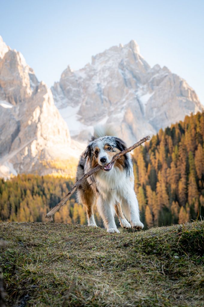 A Stroll Through Val Venegia - The Stunning Dolomiti Valley Near Pale Di San Martino Range 3 Val Venegia Hike Dolomites 42
