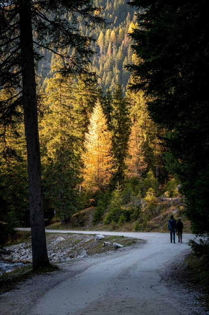 A Stroll Through Val Venegia - The Stunning Dolomiti Valley Near Pale Di San Martino Range 14 Val Venegia Hike Dolomites 52