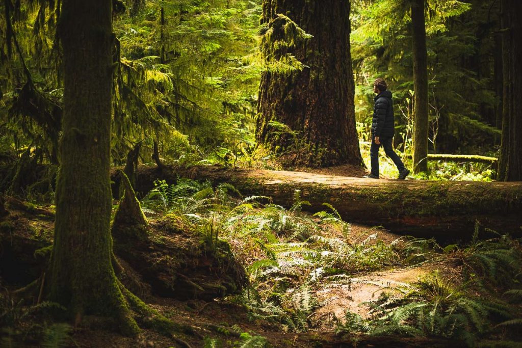 Vancouver Island travel itinerary