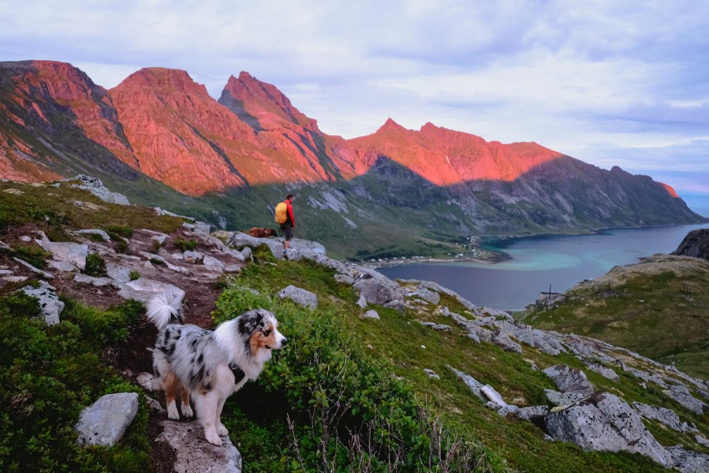 Volandstinden Hike Lofoten Islands 12