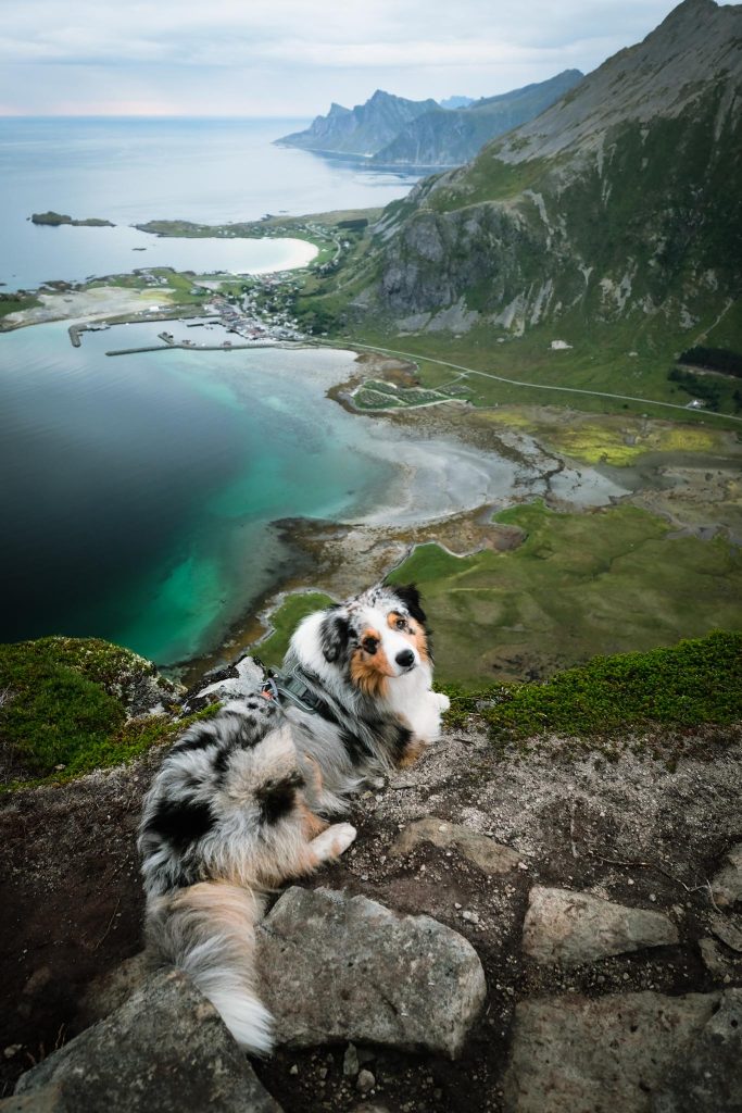 Volandstinden Hike Lofoten Islands 8