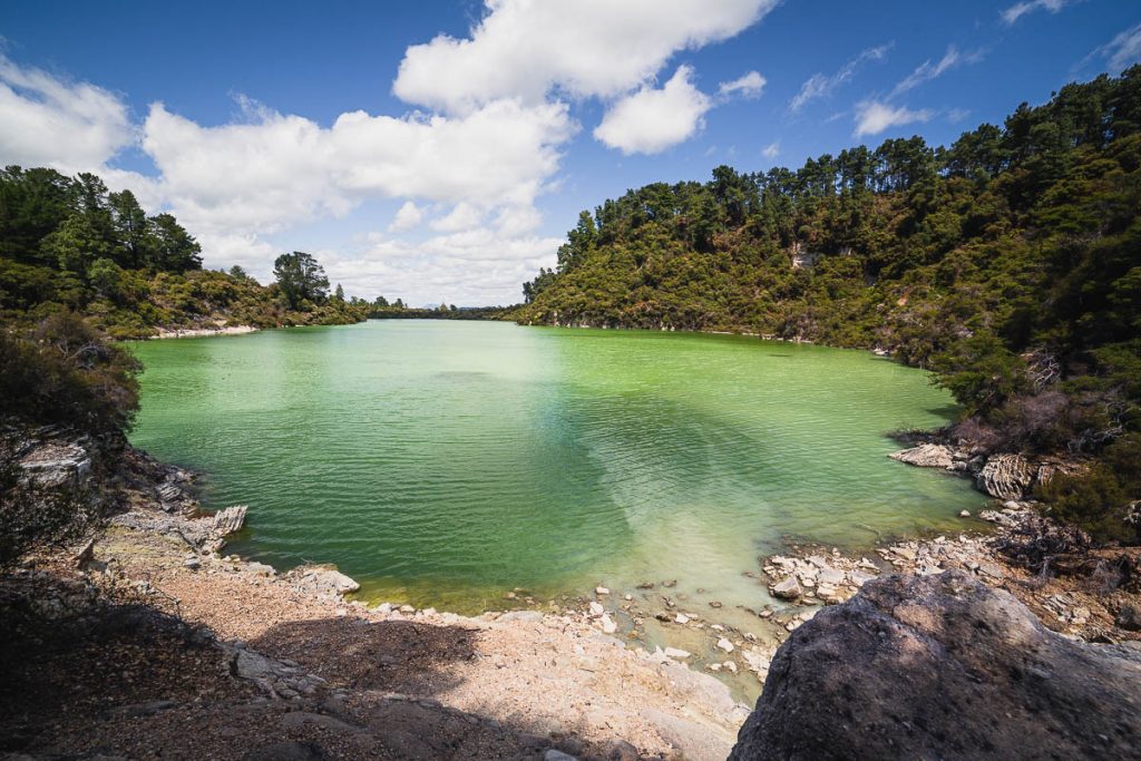 Wai O Tapu Thermal Wonderland 14