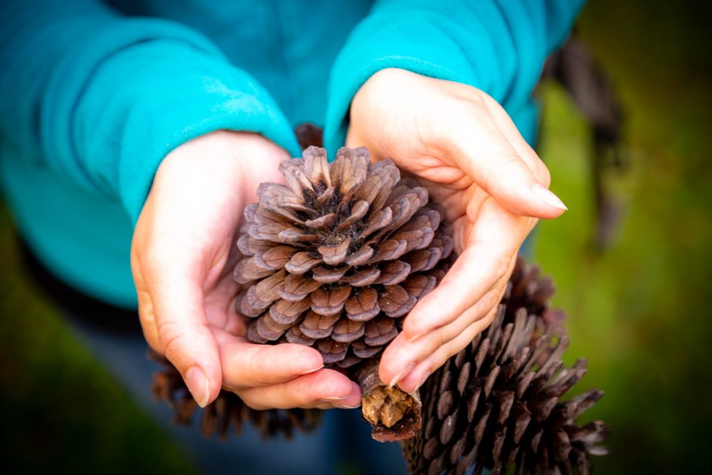 Wellington New Zealand 21