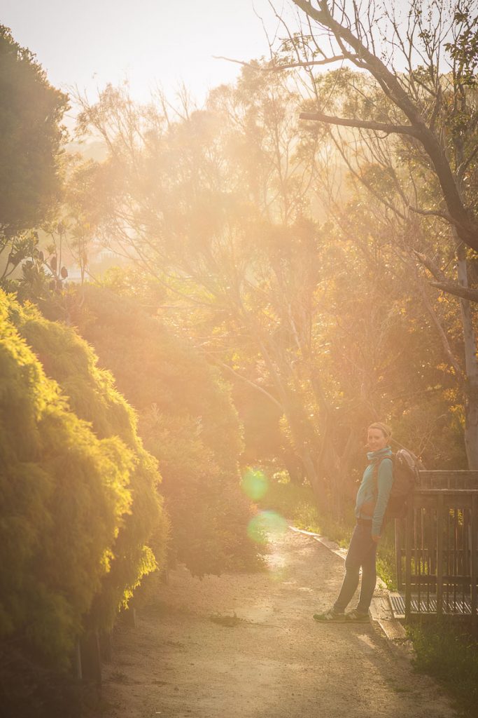 Wellington New Zealand 22