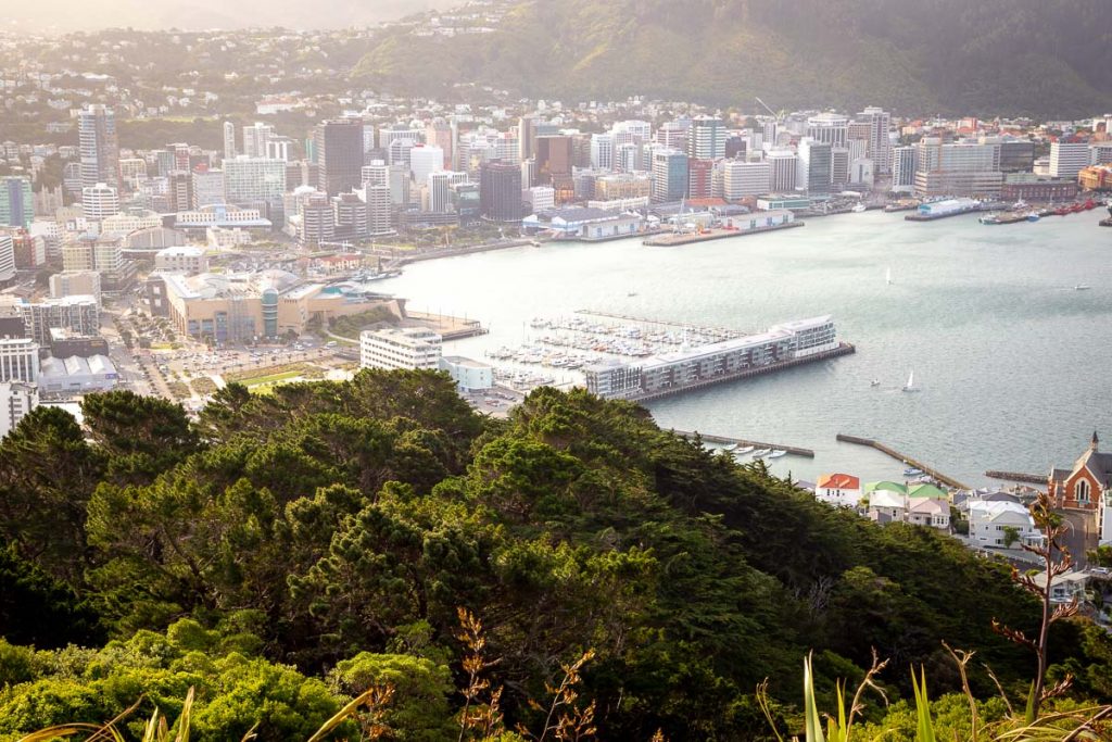 Wellington New Zealand 8