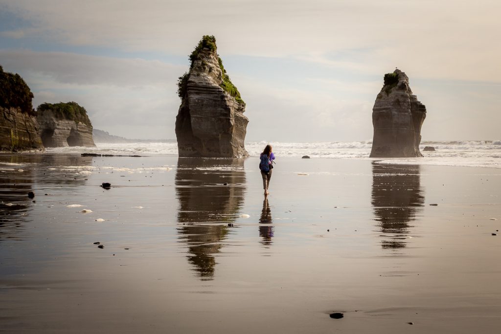 West Coast North Island 1