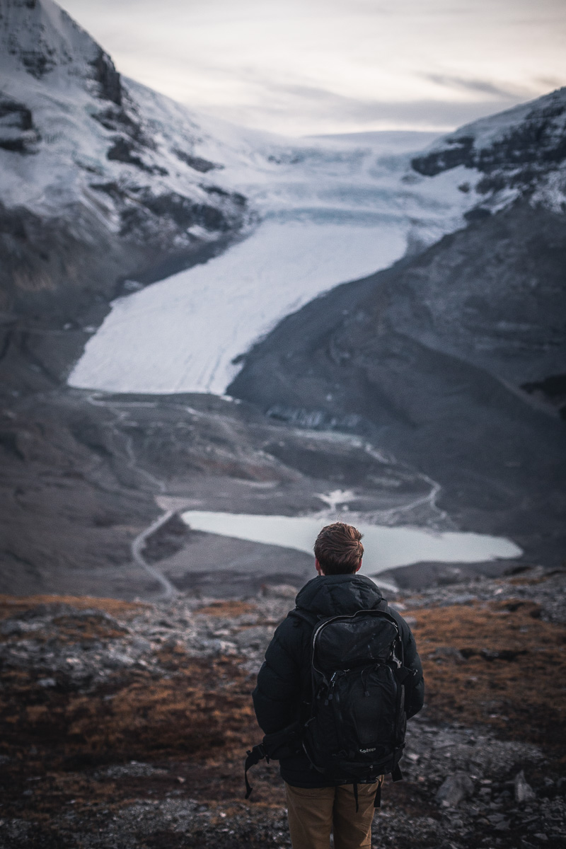 12 Awesome Hikes and Excursions in Jasper National Park in Canada 16 Wilcox Pass 3
