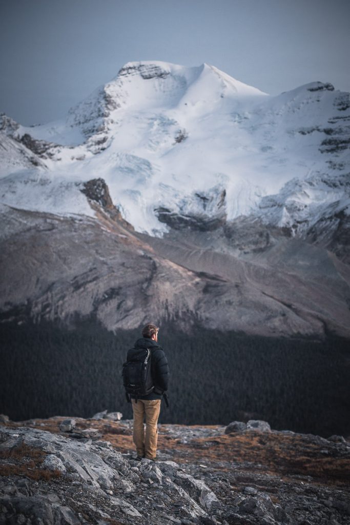 12 Awesome Hikes and Excursions in Jasper National Park in Canada 15 Wilcox Pass 4