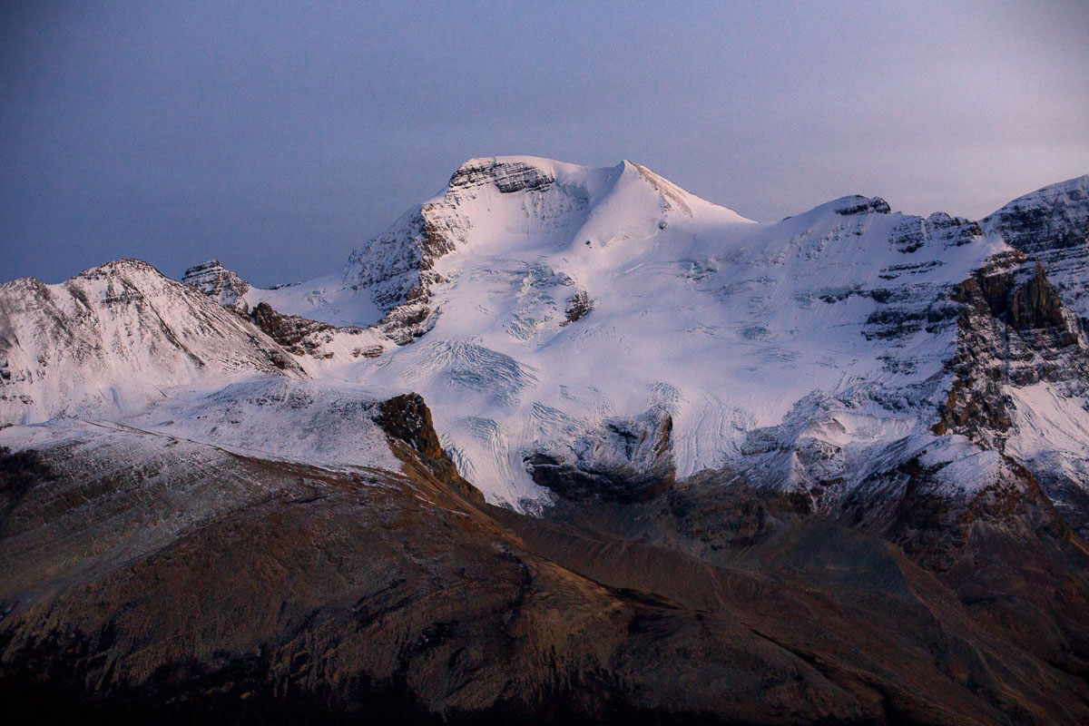 12 Awesome Hikes and Excursions in Jasper National Park in Canada 17 Wilcox Pass 5